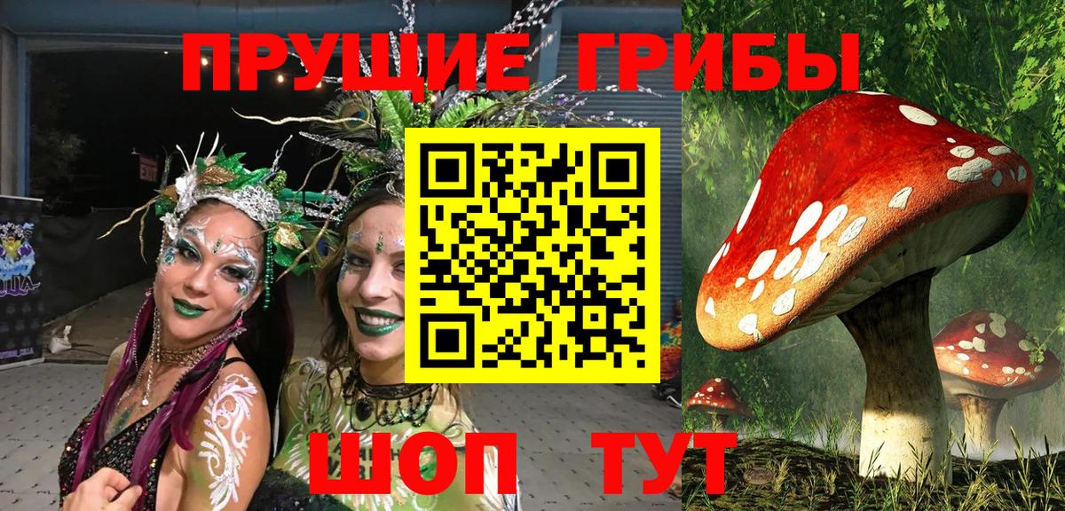 даркнет сайт  Псилоцибиновые грибы Cubensis  Вход с VPN  Кашира 