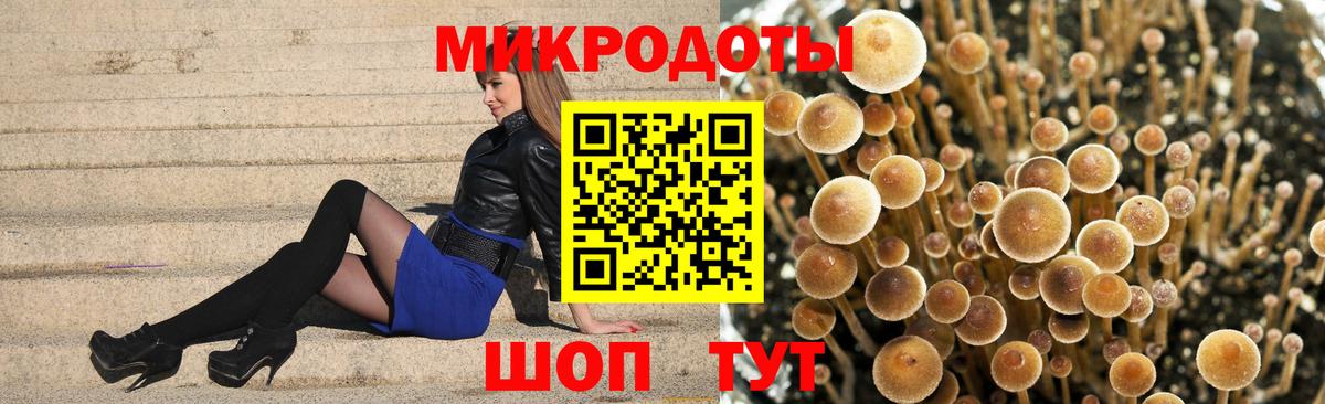 Галлюциногенные грибы мицелий Кашира